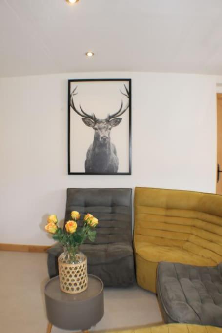 Chalet Avenir Saint-Jean-dʼAulps Kültér fotó