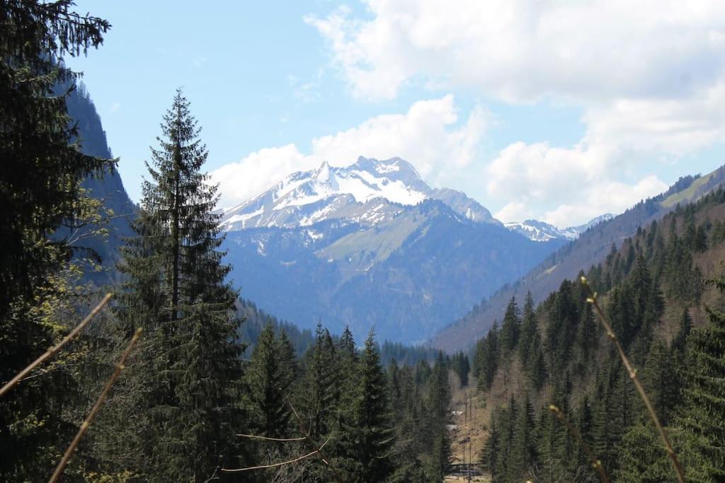 Chalet Avenir Saint-Jean-dʼAulps Kültér fotó