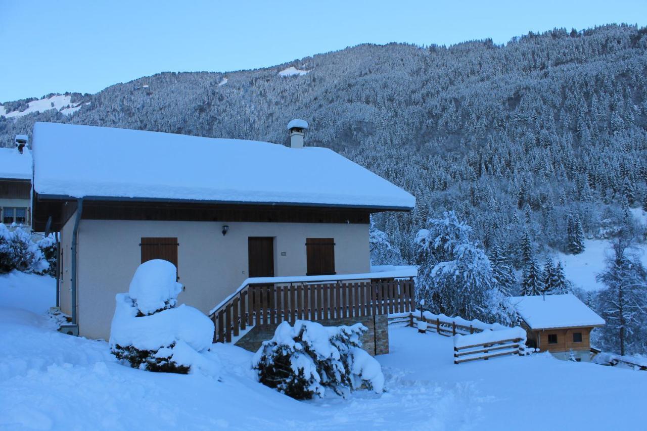 Chalet Avenir Saint-Jean-dʼAulps Kültér fotó