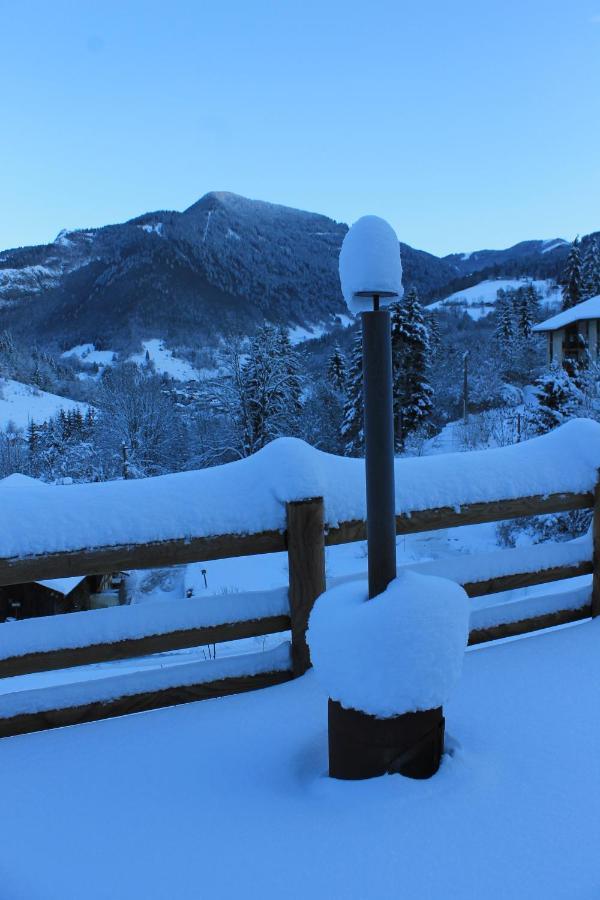 Chalet Avenir Saint-Jean-dʼAulps Kültér fotó